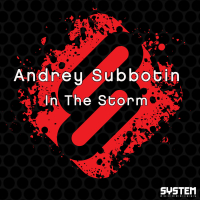 In the Storm (Single)