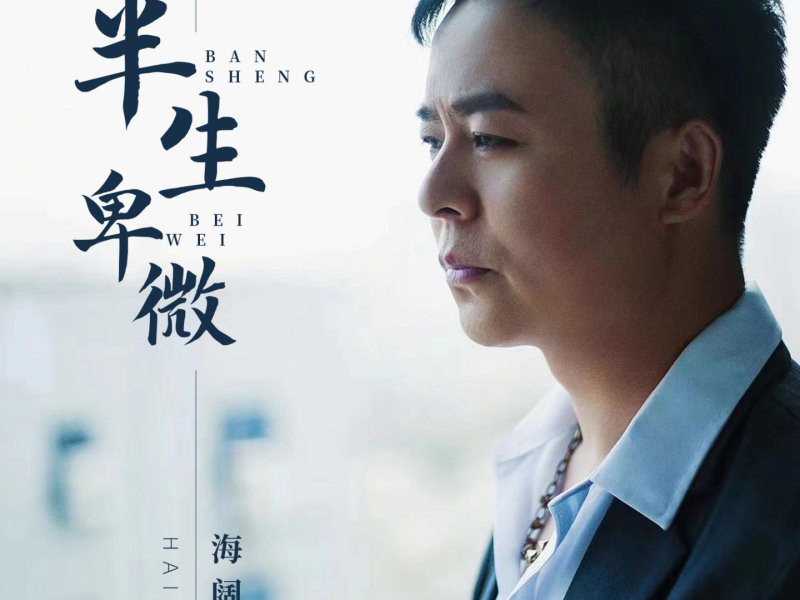 半生卑微 (Djbanan版) (Single)