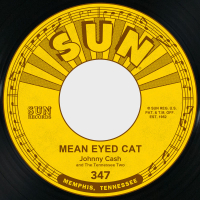 Mean Eyed Cat / Port of Lonely Hearts (Single)
