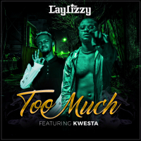 Too Much (Single)