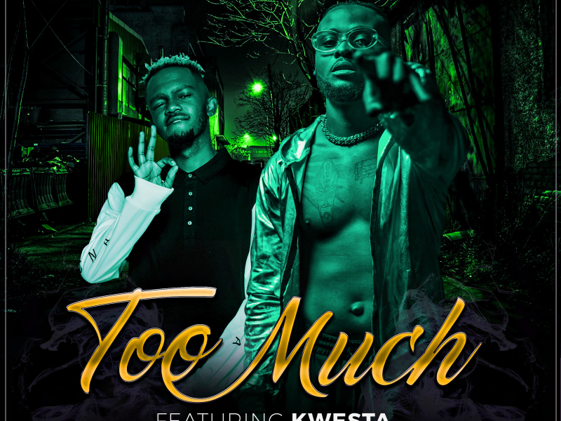 Too Much (Single)