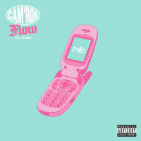 Cam'ron Flow (Single)