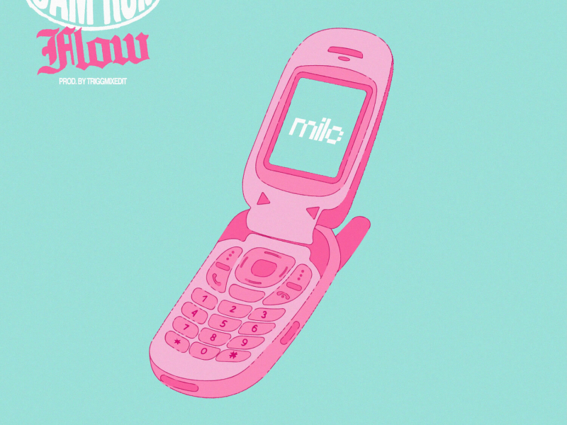 Cam'ron Flow (Single)