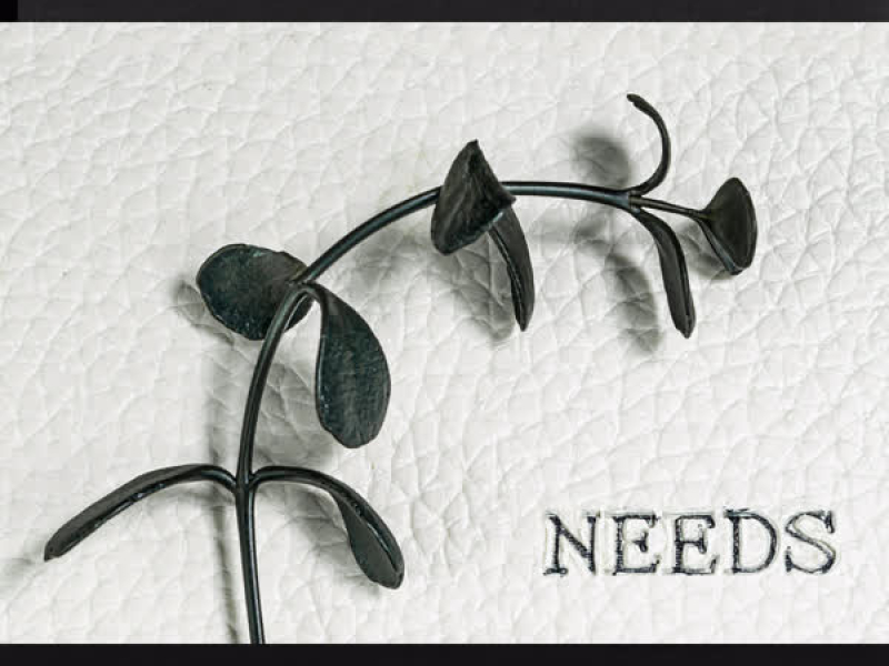 Needs (Single)