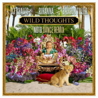 Wild Thoughts (NOTD Dance Remix) (Single)