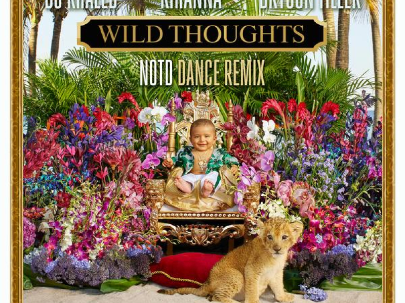 Wild Thoughts (NOTD Dance Remix) (Single)