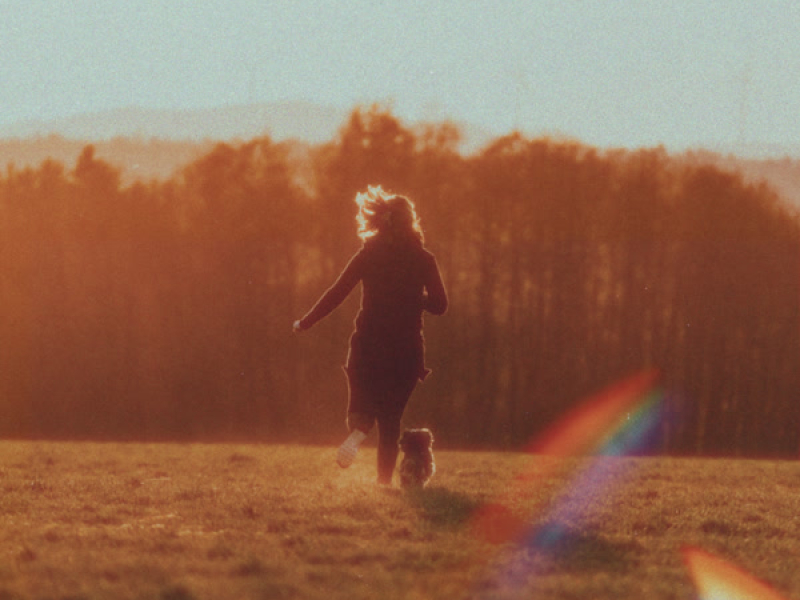 felt yearning that evening (Single)