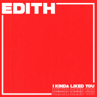 I Kinda Liked You (Single)