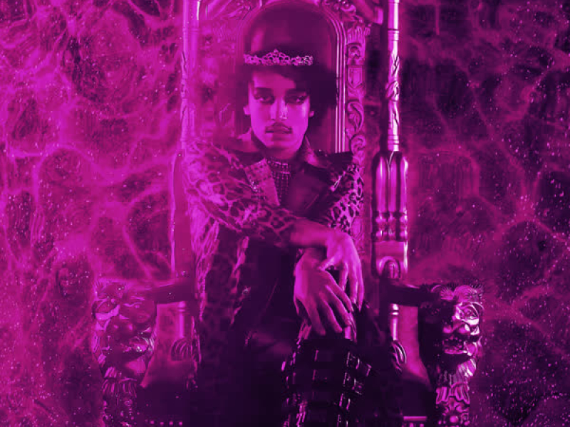 Not Your Fetish (Buzz William Remixes) (EP)