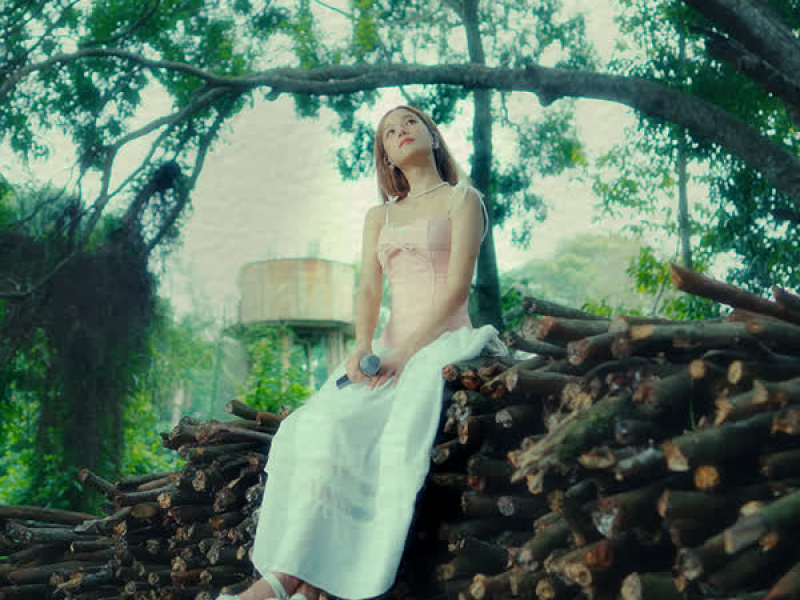 Hẹn Gặp Anh (trên đống củi) (Single)