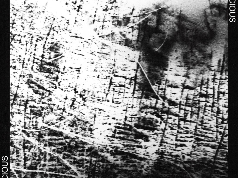 DELICIOUS APE (Single)