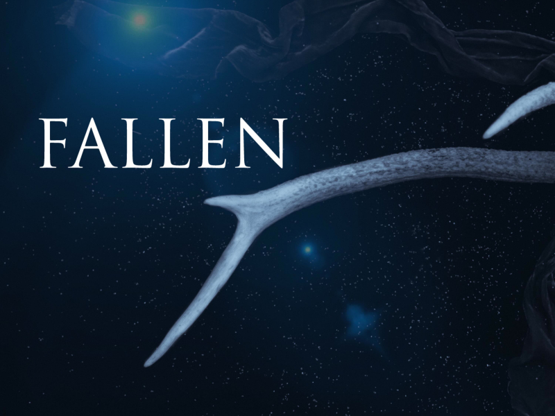 Fallen (Single)
