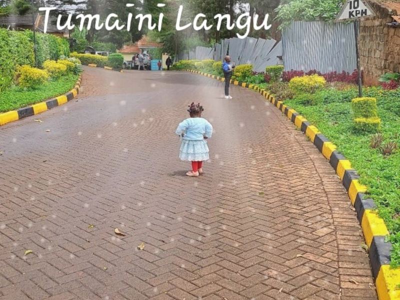 Tumaini Langu (Single)