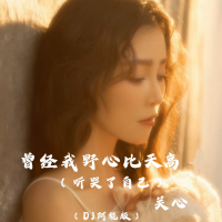 曾经我野心比天高 (听哭了自己, DJ阿能版) (Single)