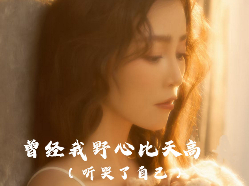 曾经我野心比天高 (听哭了自己, DJ阿能版) (Single)