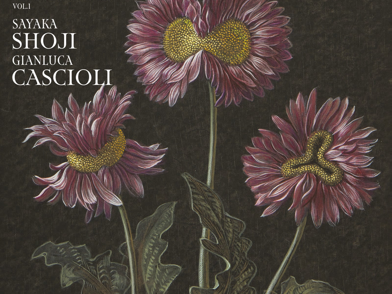 Mozart: Sonatas for Fortepiano and Violin Vol. 1