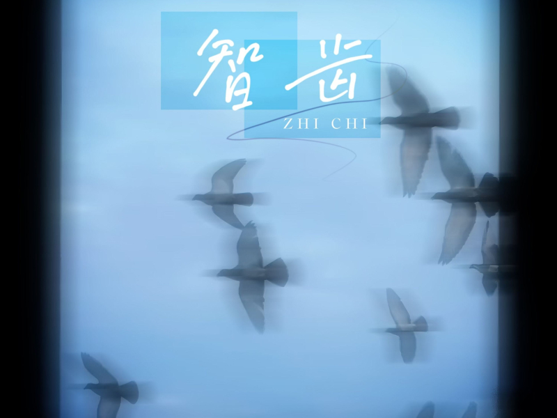 智齿 (Single)