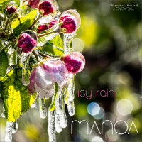 Icy Rain (Umbrella Mix) (Single)