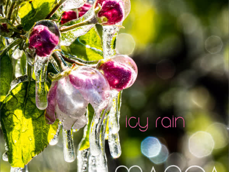 Icy Rain (Umbrella Mix) (Single)