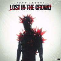 Lost In The Crowd (Single)
