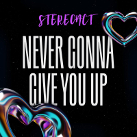 Never Gonna Give You Up (Single)