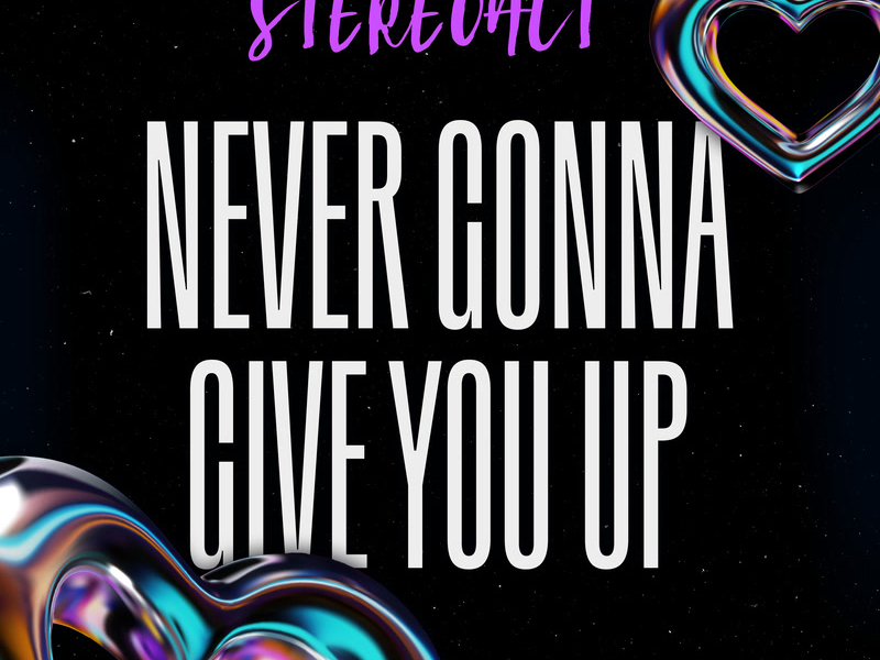 Never Gonna Give You Up (Single)