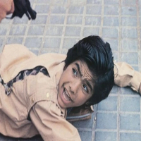 Malas Pulgas (Single)