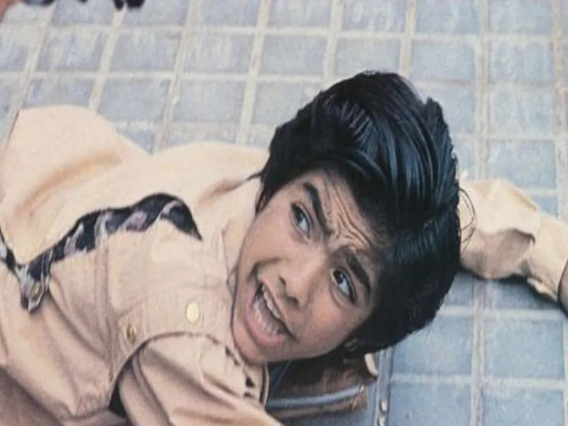 Malas Pulgas (Single)