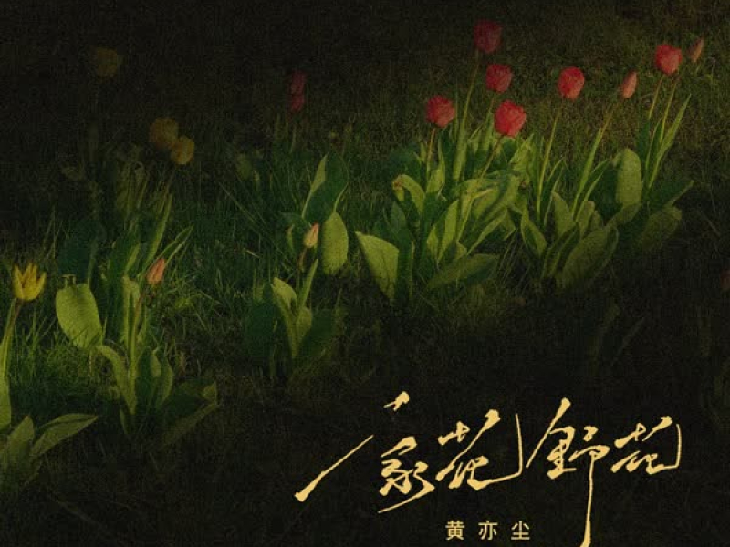 家花野花 (Single)