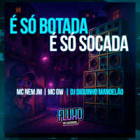 É Só Botada É só Socada (Single)