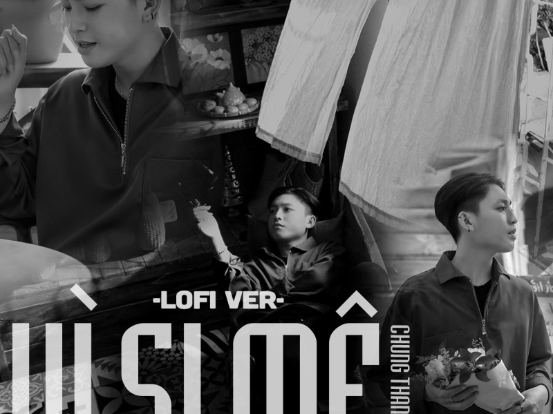 Vì Si Mê (Lofi) (Single)