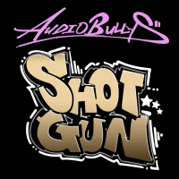 Shotgun (Basher Remix) (Single)