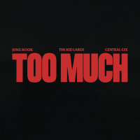 TOO MUCH (Single)