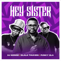 Hey Sister (Single)