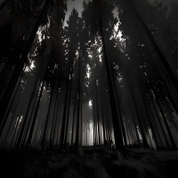 Into The Dark (Liquid Mix) (Single)