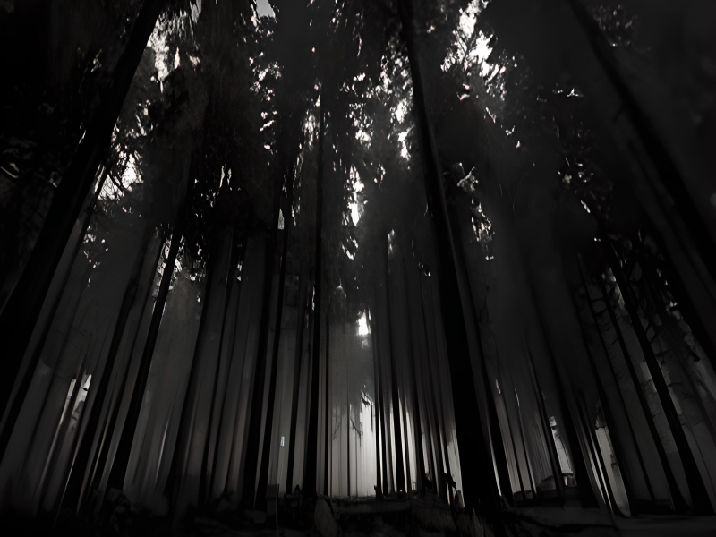 Into The Dark (Liquid Mix) (Single)