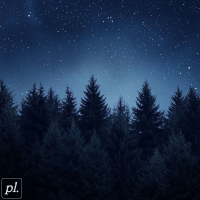 lost in the evergreens (Single)