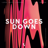 Sun Goes Down (Single)