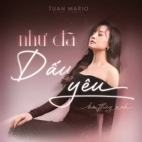 Như Đã Dấu Yêu (Single)