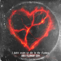 I Don’t Want to Die in the Flames (Single)