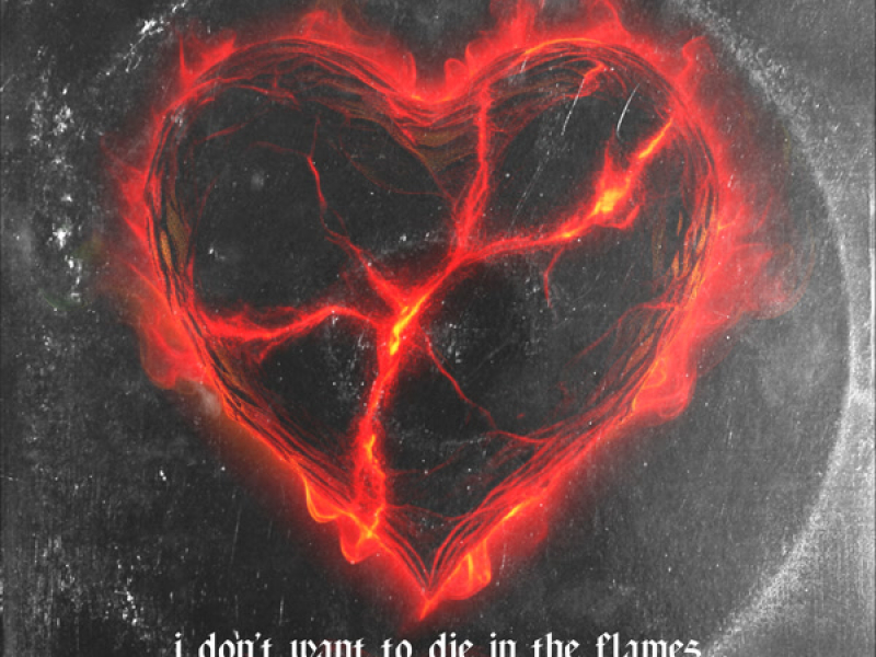 I Don’t Want to Die in the Flames (Single)