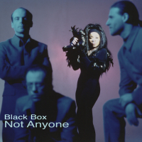 Not Anyone (Mixes) (EP)