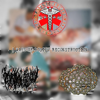 3 WAYS OF BODILY RECONSTRUCTION (EP)