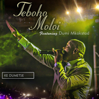 Ke Dumetse (Single)