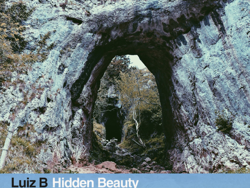 Hidden Beauty