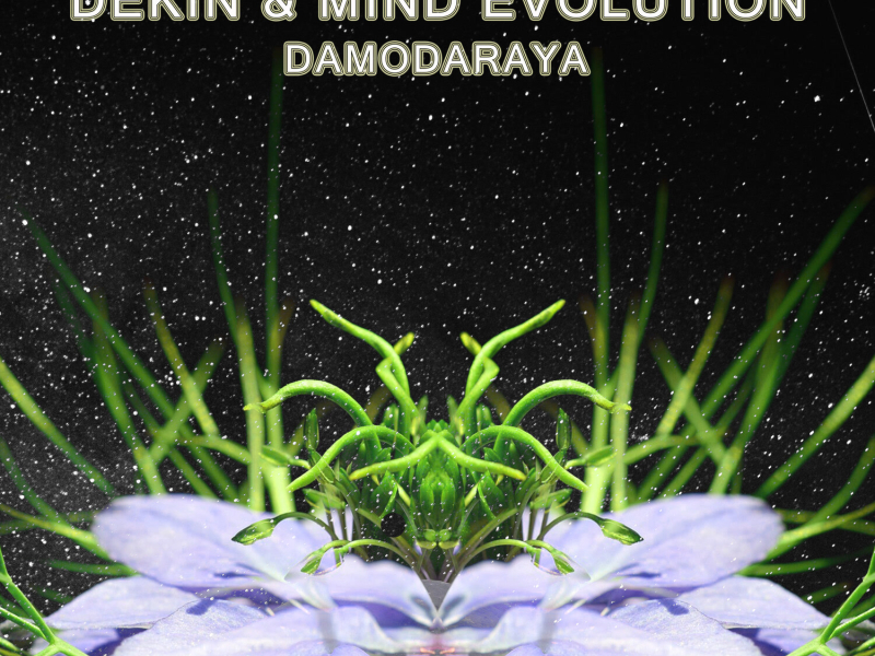 Damodaraya (Single)