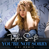 You're Not Sorry (CSI Remix) (Single)