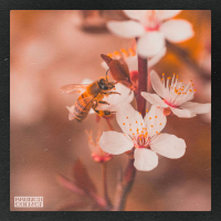 Busy Bee (Single)