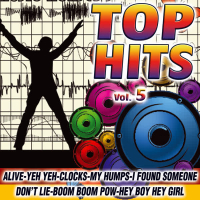 Top Hits Vol. 5