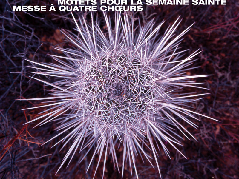 Charpentier: Motets pour la Semaine Sainte et Messes à 4 choeurs